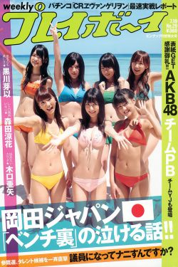 日本18成禁人游戏手游3d